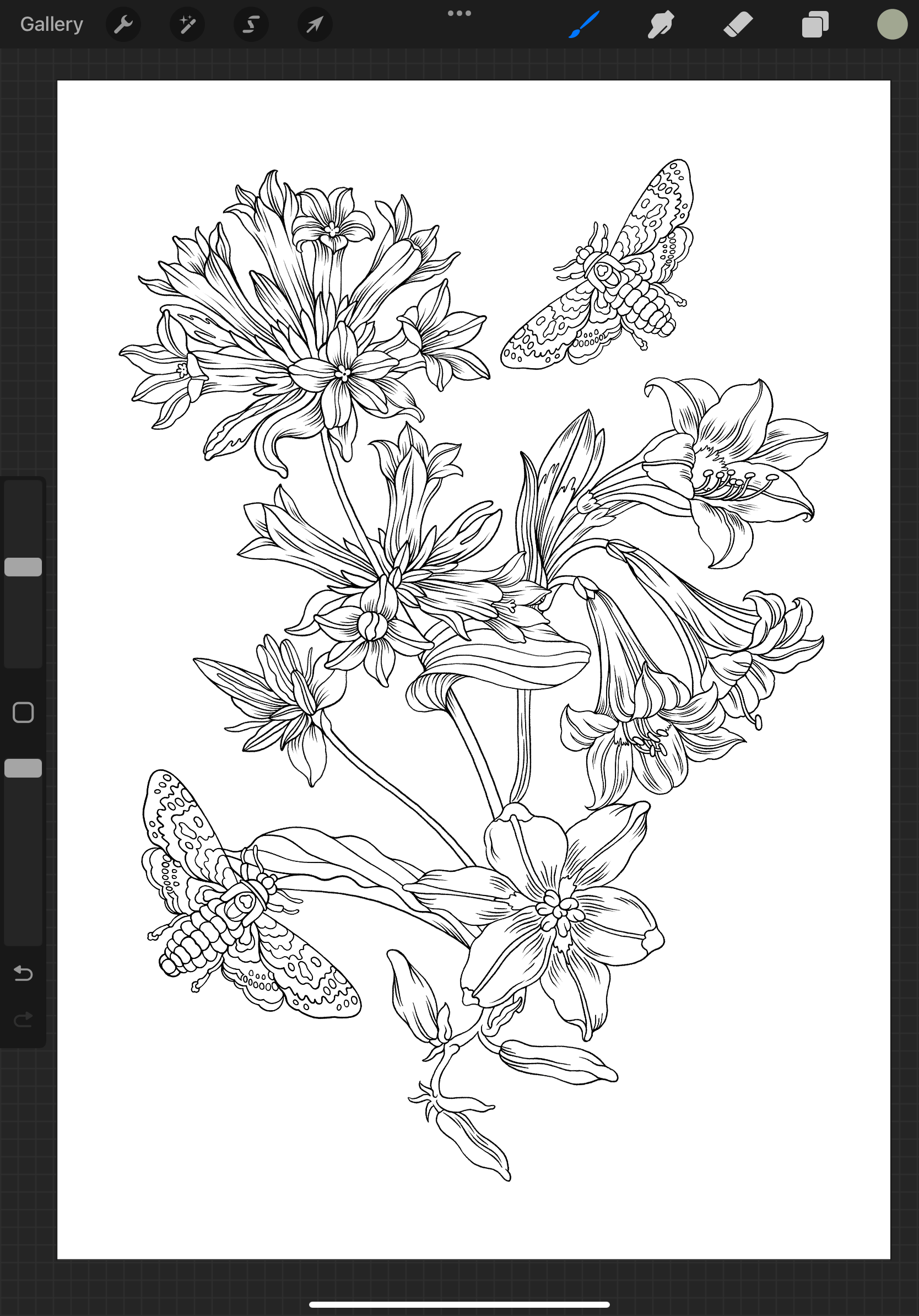 Free Coloring Pages for Procreate Flower Frenzy Edition 🖌️ Procreate